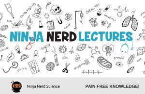 The Ninja Nerds explain Coronavirus