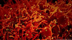 Scientist uncovered nearly 200 genetic mutations of Coronavirus. But, what does it mean?