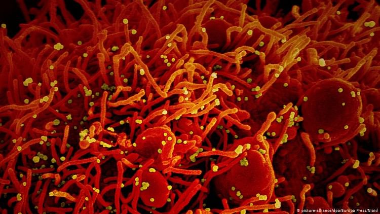 Scientist uncovered nearly 200 genetic mutations of Coronavirus. But, what does it mean? Scientist uncovered nearly 200 genetic mutations of Coronavirus. But, what does it mean?